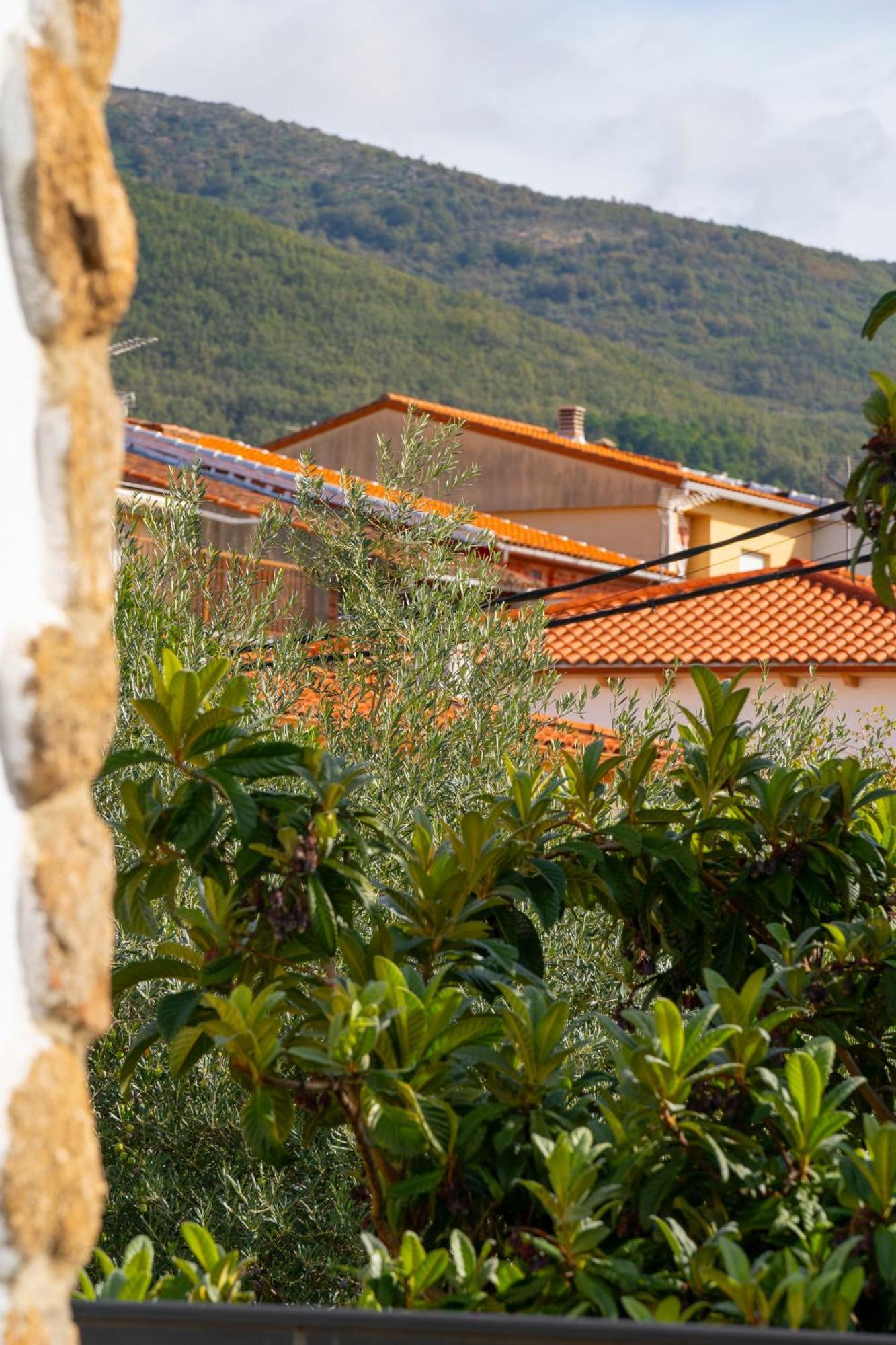 Apartamento Casa San Miguel Jarandilla de la Vera Exterior foto